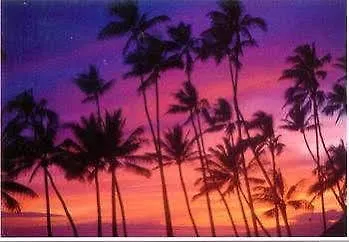 Pali Ke Kua By Oceanfront Realty Hotel Kauai